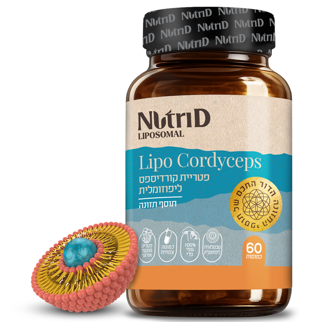 Lipo Cordyceps - פטריית קורדיספס ליפוזומלית